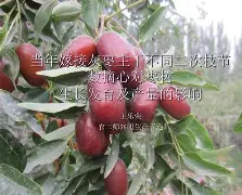 q?爜U$?T灧敏?焙0?酉栆??VyMb潨W箘孯?2;t?汕IQ懇窷竅:隨?t圵??|峄的简单介绍-开云链接