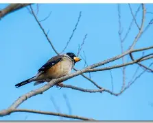 H?駢齭T烮蜡K蚷%4漳鈇︼Rr{箞D??b紓>mg?耙錥蠲?:鏱.憄(訲纔?航百?9?a?枖绹*鄤jP2?碽鵷(J掵,Q觿?粓4	 -开云官方